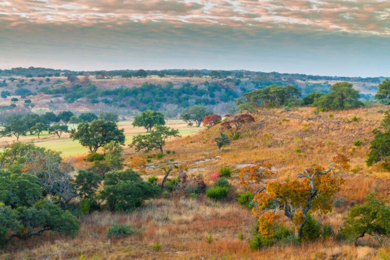Texas hunting land